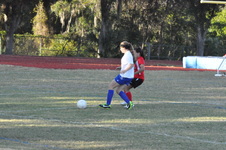 Enlarge photo 304