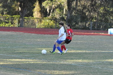 Enlarge photo 305