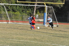 Enlarge photo 322
