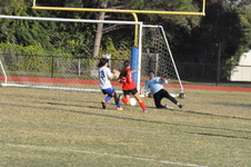 Enlarge photo 323