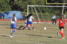Enlarge photo 339