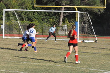 Enlarge photo 340