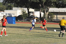 Enlarge photo 341