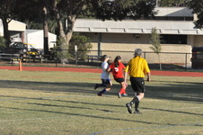 Enlarge photo 343