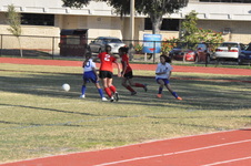 Enlarge photo 346