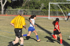 Enlarge photo 393
