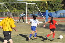 Enlarge photo 396