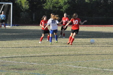 Enlarge photo 419
