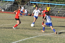 Enlarge photo 432