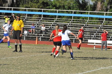 Enlarge photo 438