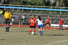 Enlarge photo 439