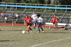 Enlarge photo 440