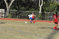 Enlarge photo 449