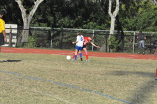 Enlarge photo 452