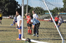 Enlarge photo 468