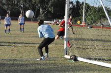 Enlarge photo 469