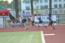 Enlarge photo 129