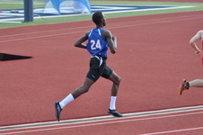 Enlarge photo 226