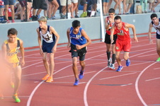 Enlarge photo 279