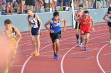 Enlarge photo 280