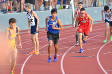 Enlarge photo 281