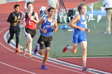 Enlarge photo 293