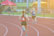 Enlarge photo 313