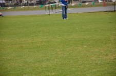 Enlarge photo 313
