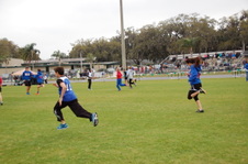 Enlarge photo 314