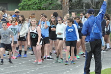 Enlarge photo 223