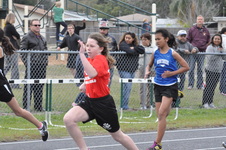 Enlarge photo 280