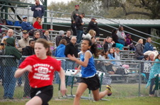 Enlarge photo 519