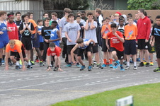 Enlarge photo 35