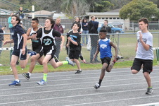 Enlarge photo 49