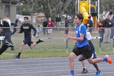 Enlarge photo 88