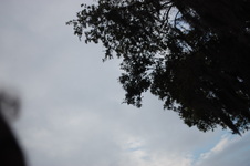 Enlarge photo 160