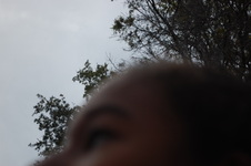Enlarge photo 161
