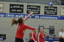 Enlarge photo 46