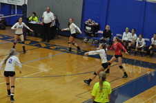 Enlarge photo 49