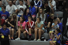 Enlarge photo 369