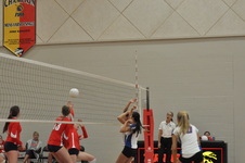 Enlarge photo 254