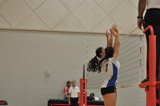 Enlarge photo 592