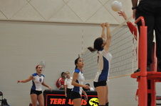 Enlarge photo 629