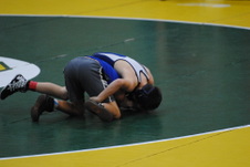 Enlarge photo 137