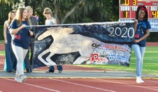 Enlarge photo 455