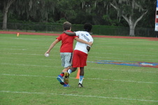 Enlarge photo 121