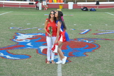 Enlarge photo 388