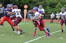 Enlarge photo 43