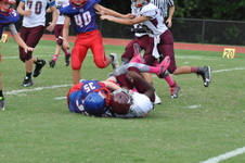 Enlarge photo 46