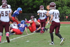 Enlarge photo 54